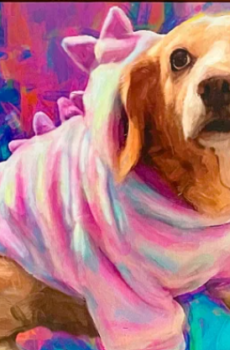 lienzo mascota personalizado